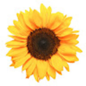 Meet your Posher, Carissa